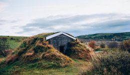 What bunker is right for me?