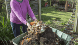 how to compost at home